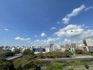 手柄駅 徒歩13分 5階の物件内観写真